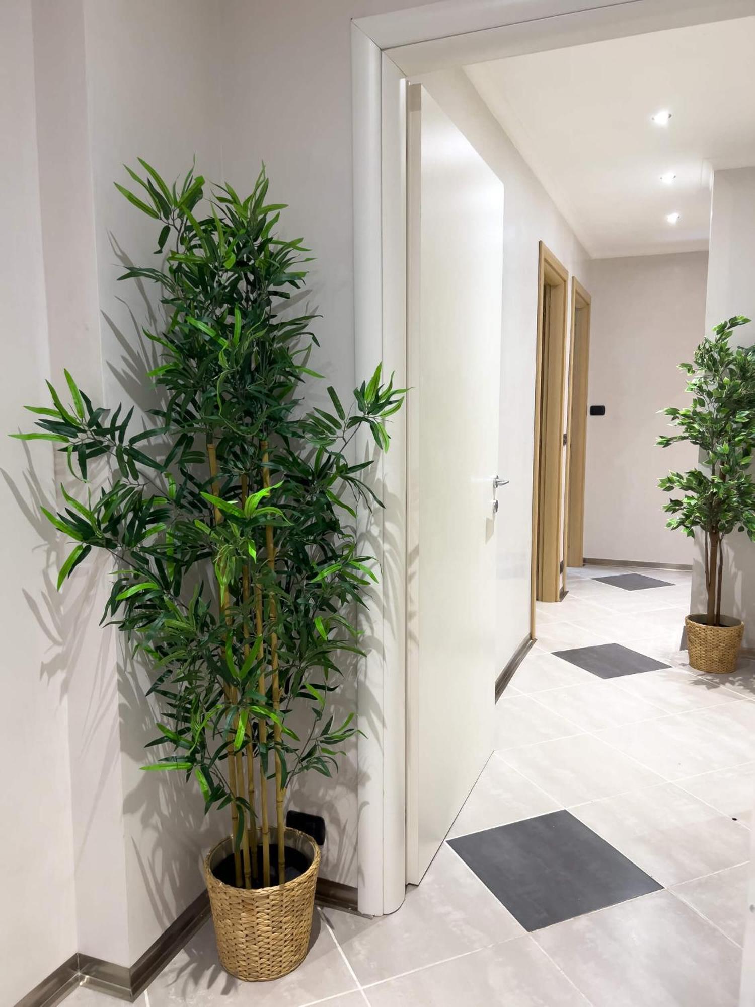 Sofia Guest House โรม ภายนอก รูปภาพ