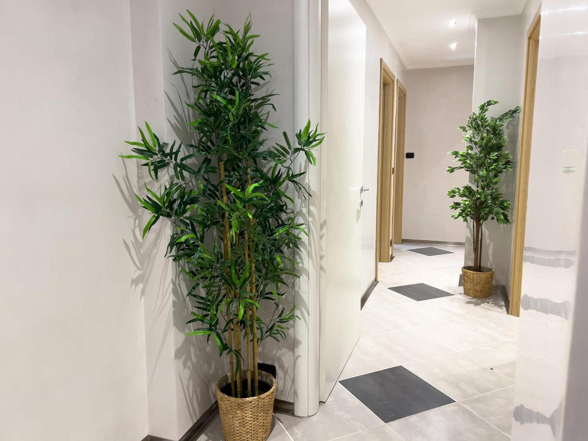Sofia Guest House โรม ภายนอก รูปภาพ